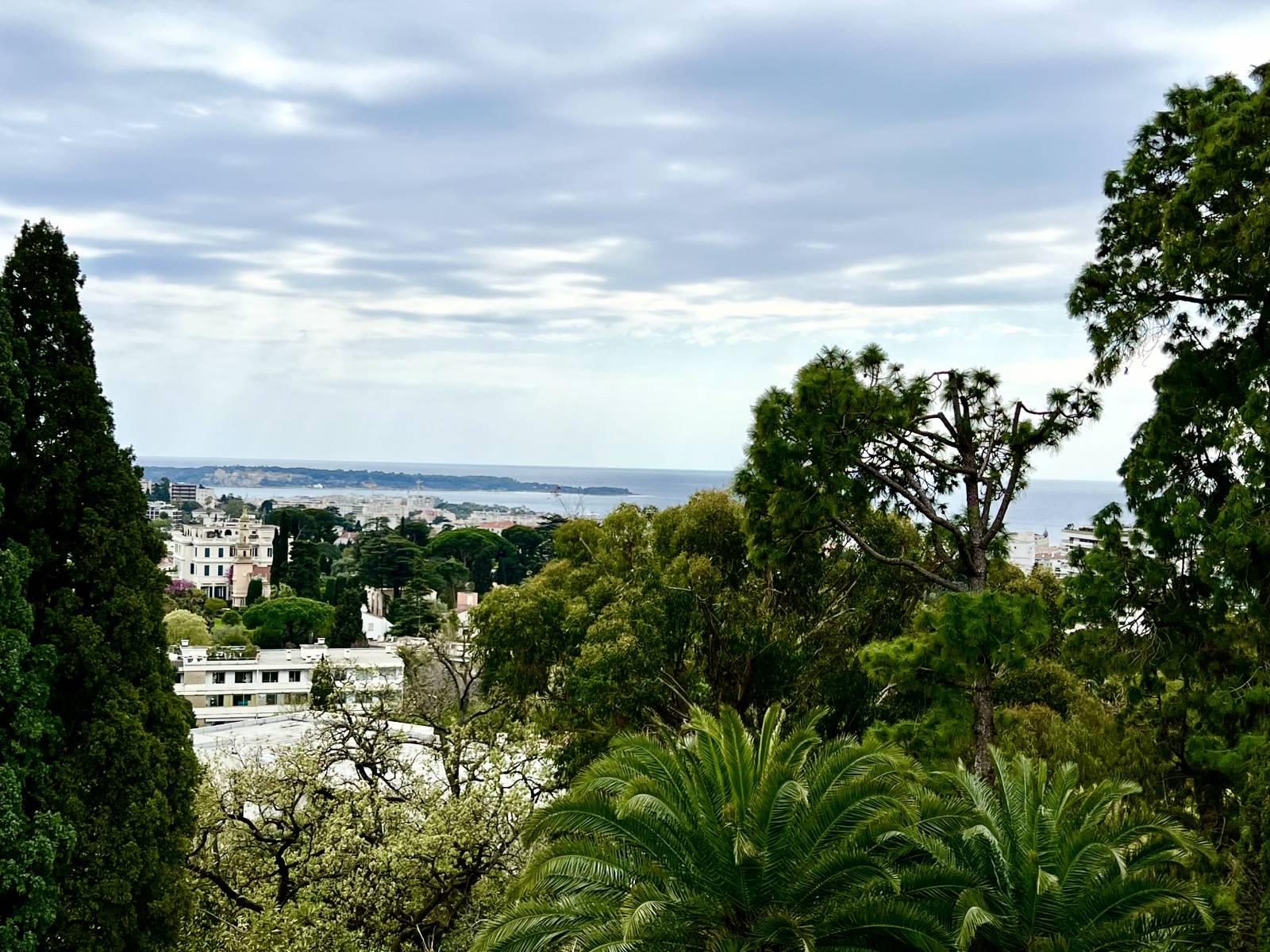 Vue mer appartement à vendre Cannes