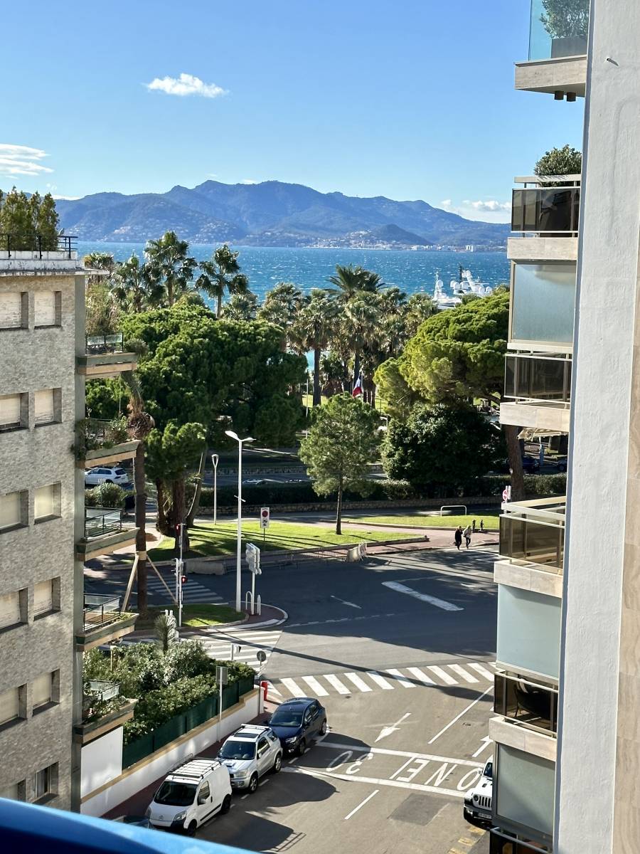 Achat / Vente Appartement 2 Pièces Vue Mer et Montagne avec Terrasse  Quartier Palm Beach, Cannes