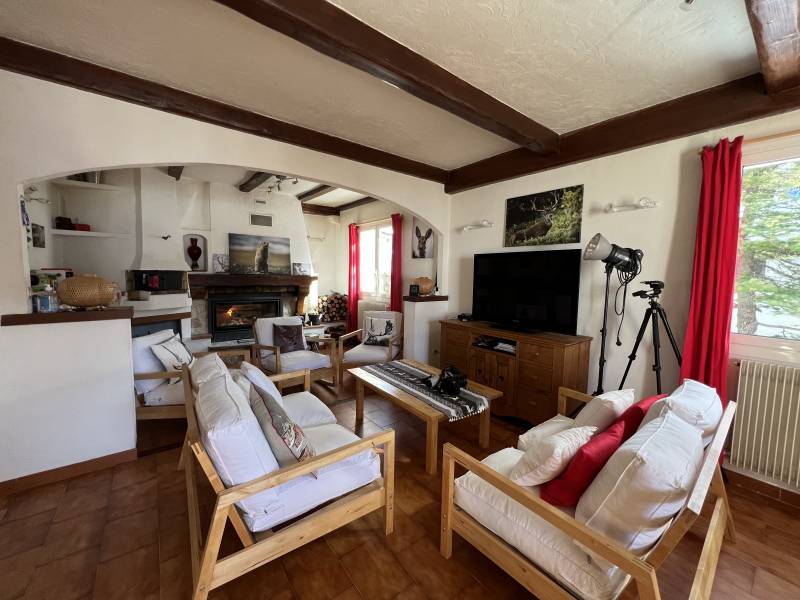 Pièce de vie avec cheminée