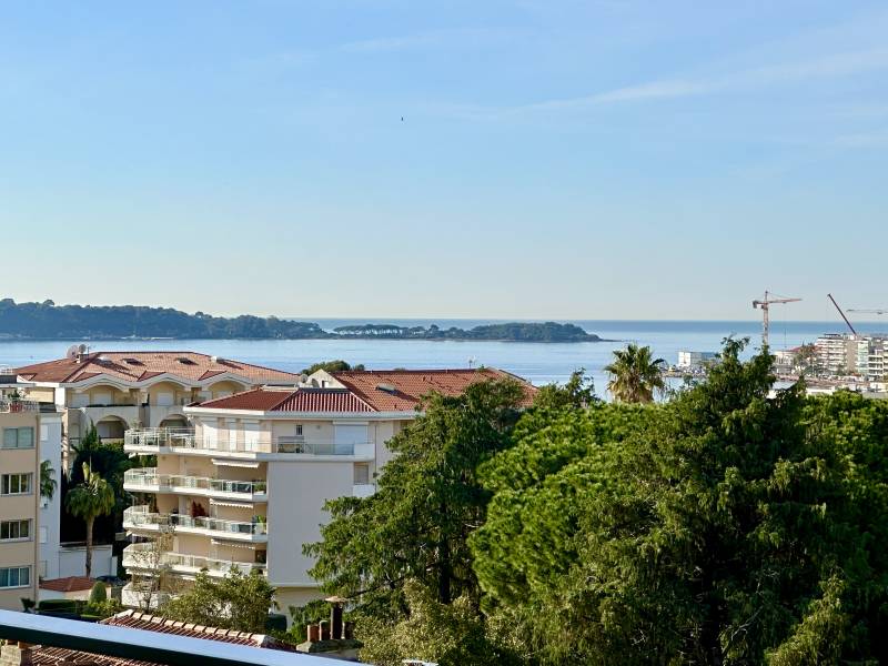 Vente Appartement 3P 73M2 Dernier étage Basse Californie Cannes